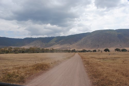 cratere Ngorongoro