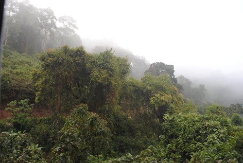 cratere Ngorongoro