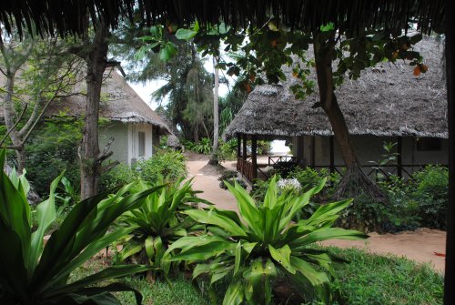 Zanzibar