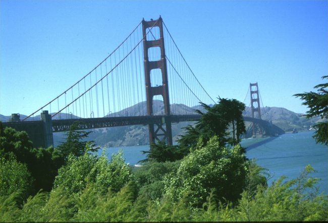 Golden gate