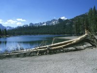 Mammoth Lakes