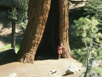 Sequoia National Park