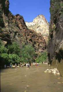 Zion National Park - Virgin river