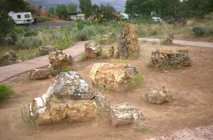 Escalante petrified forest